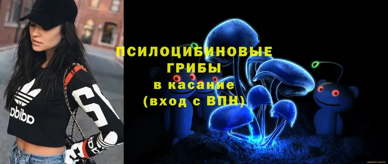 что такое   Поворино  Псилоцибиновые грибы Psilocybine cubensis 